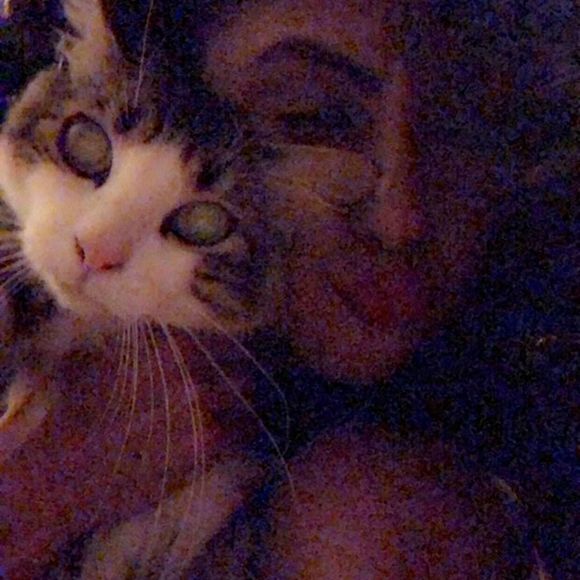 Meet your Posher, Martinez - Picture 1 of 1